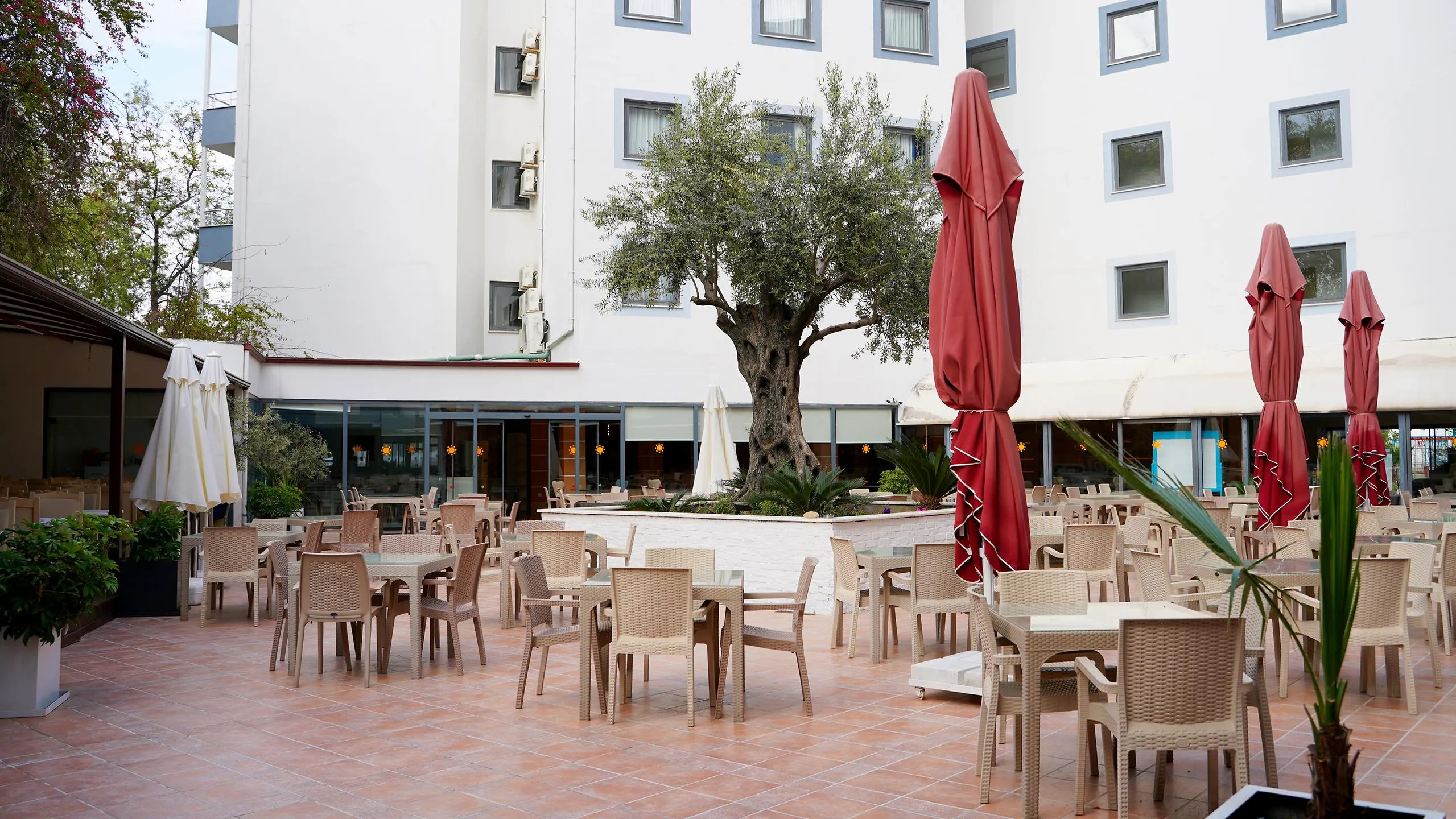 Ana Restoran