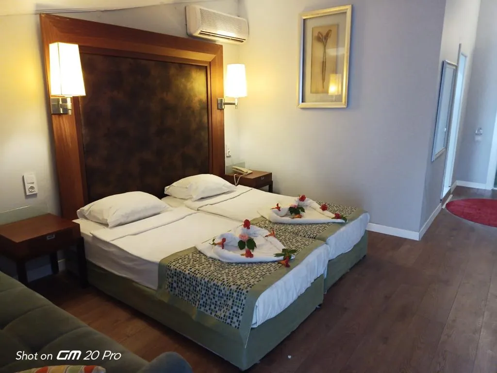 Standart Oda,Dağ Manzaralı