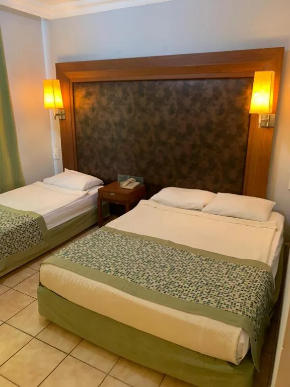 Standart Oda,Dağ Manzaralı