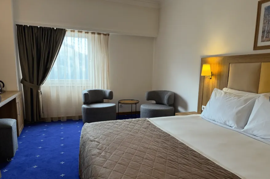 Suite,Dağ Manzaralı