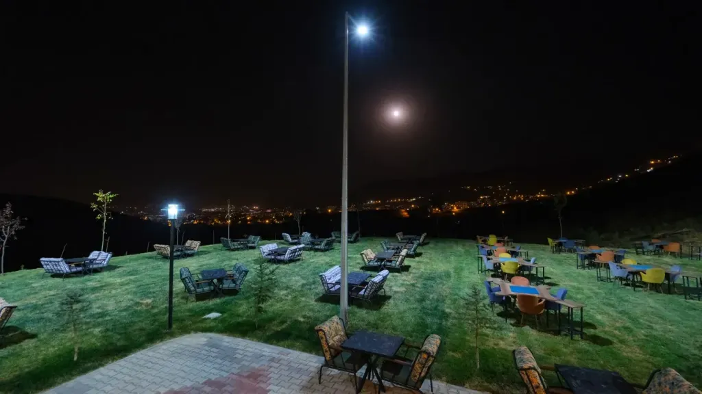 Genel Görünüm