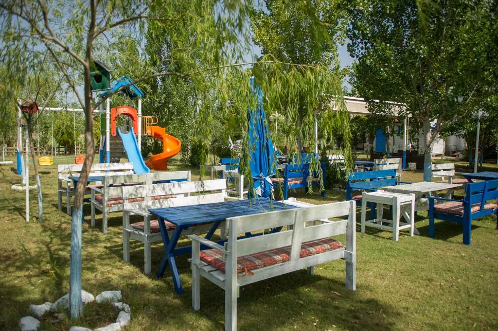 Genel Görünüm
