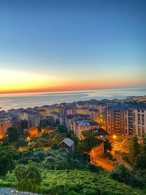Diğer