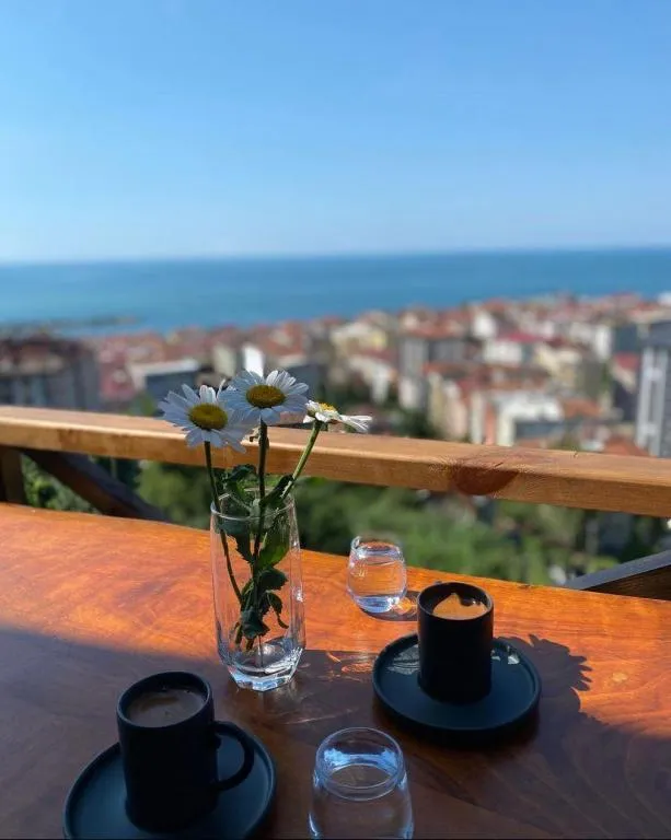 Diğer