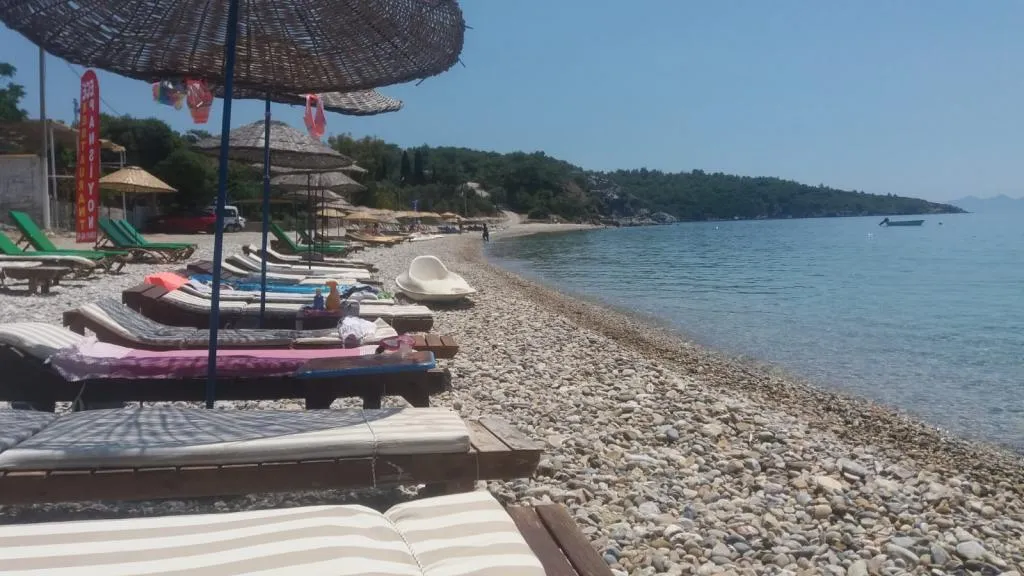 Genel Görünüm