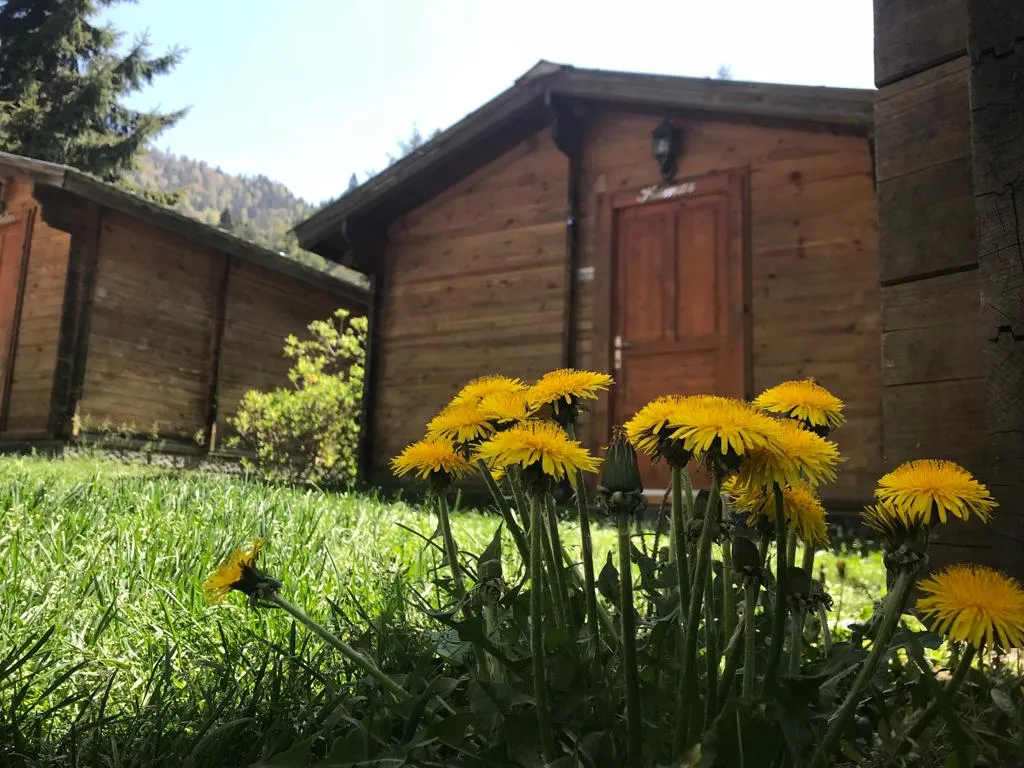 bungalow ev