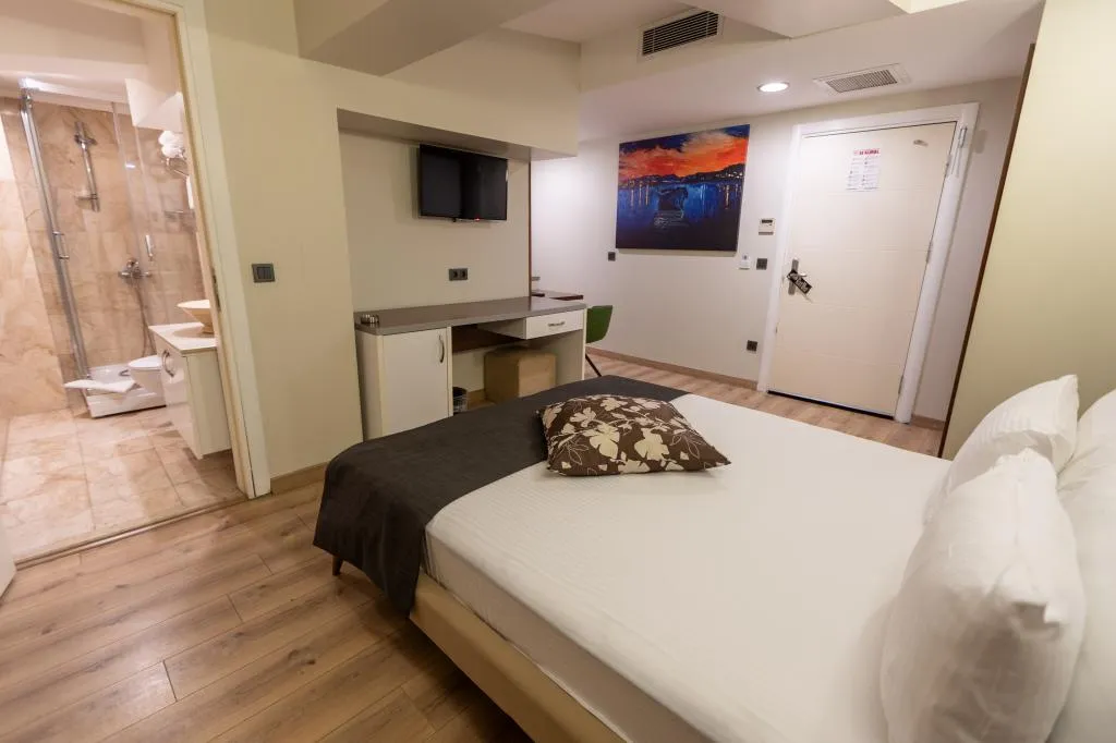 Standart Geniş Oda,Şehir Manzaralı
