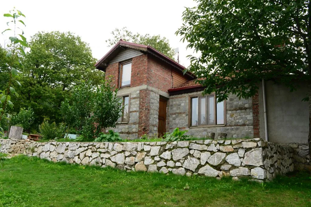 Taşev