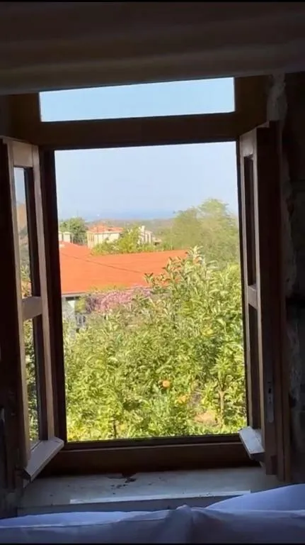 Suite Oda Balkonlu,Deniz ve Bahçe Manzaralı,2. Kat Balkonlu