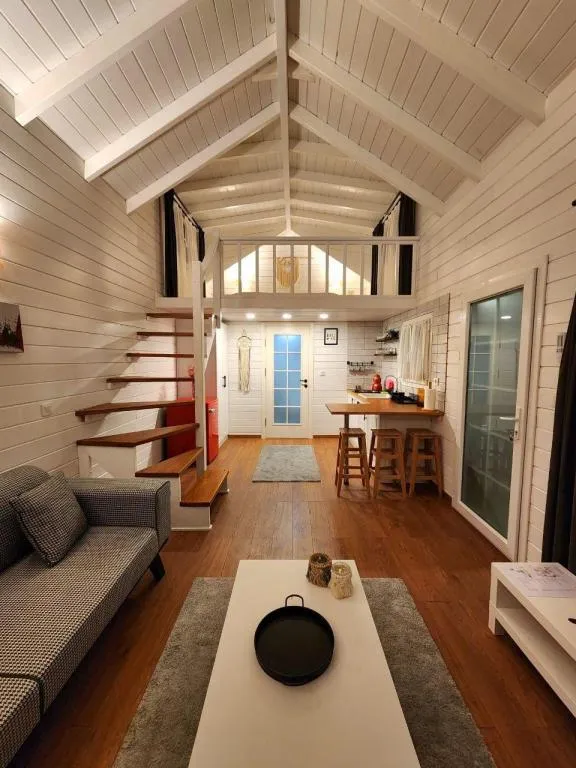 Gezersu Tiny House 4