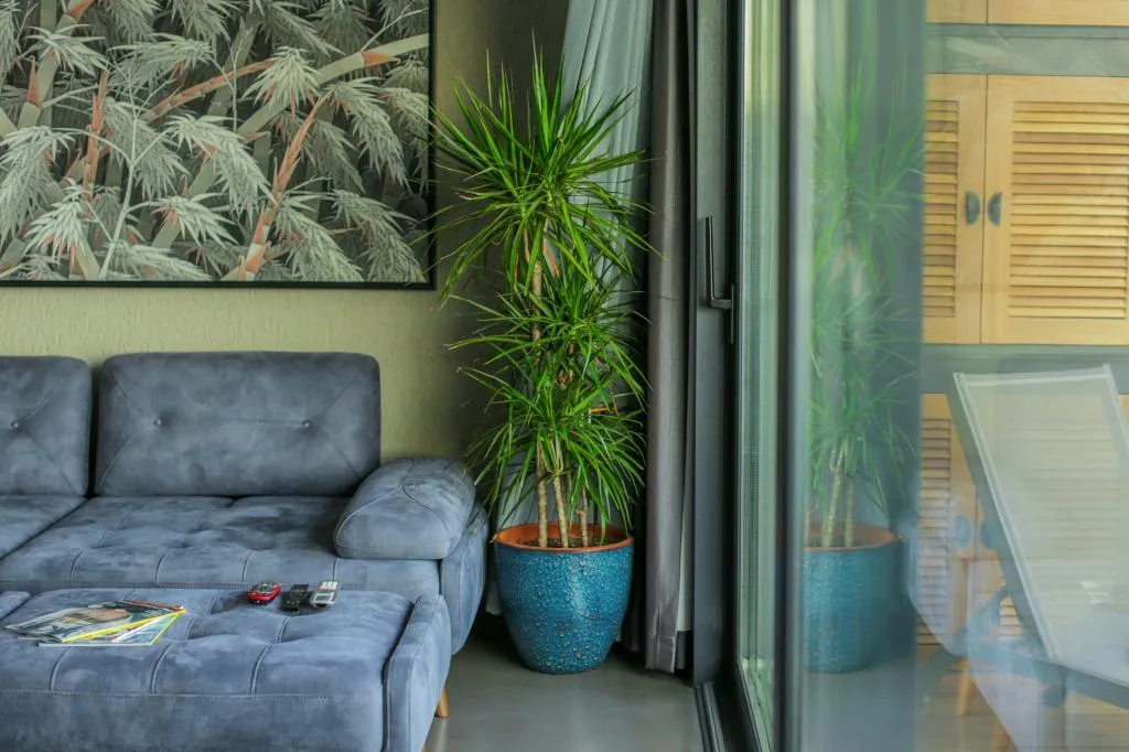 Surfer Caravan Gastro Pub & Gorilla Suite