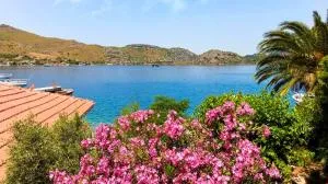 Taşdelen Selimiye
