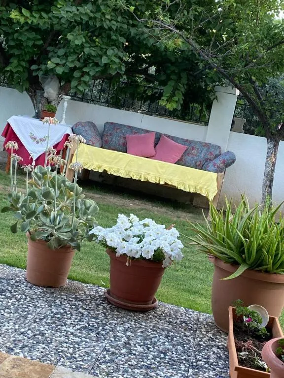 Genel Görünüm