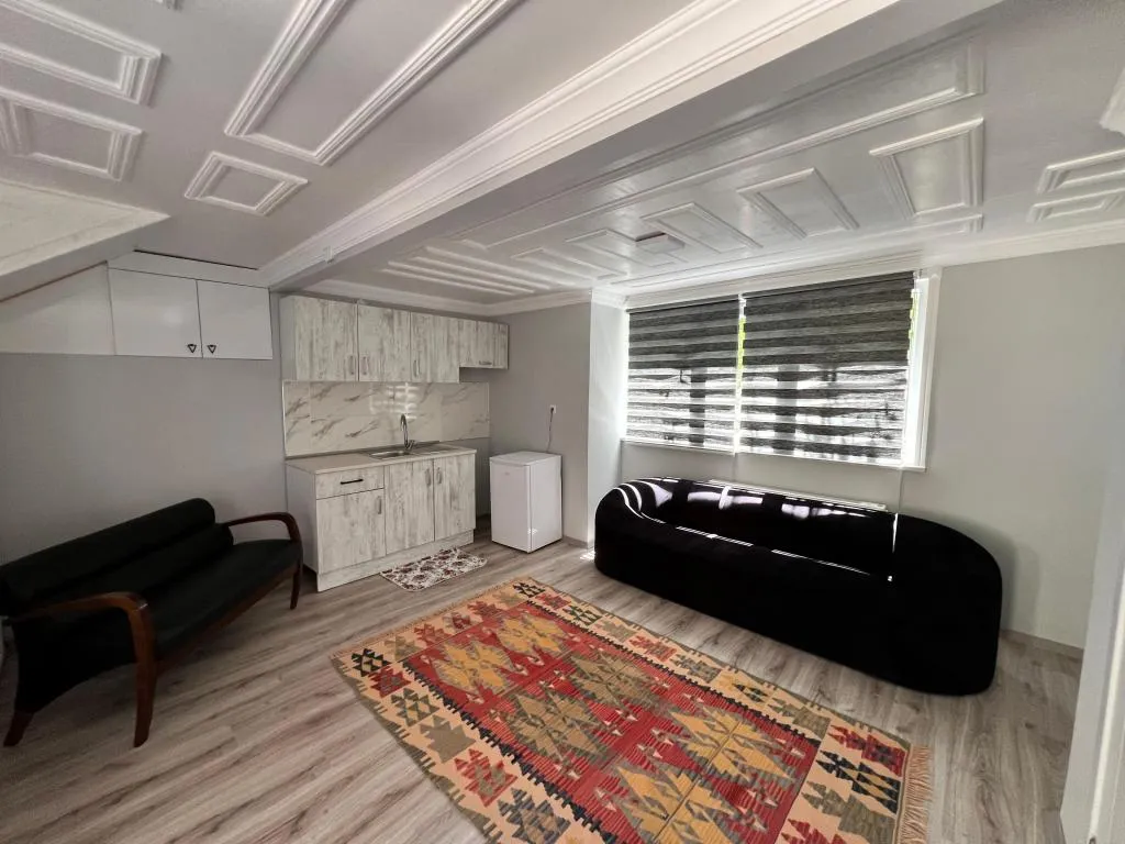 Executive Suite,Dublex
