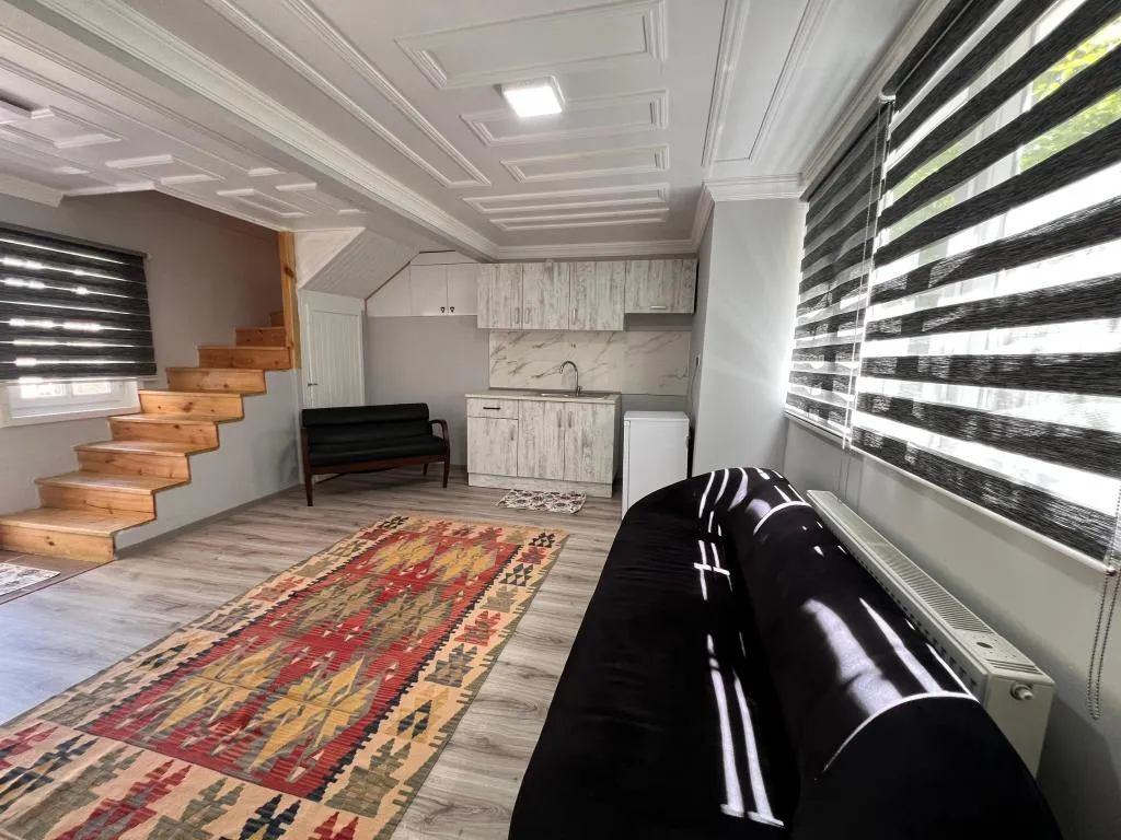 Executive Suite,Dublex