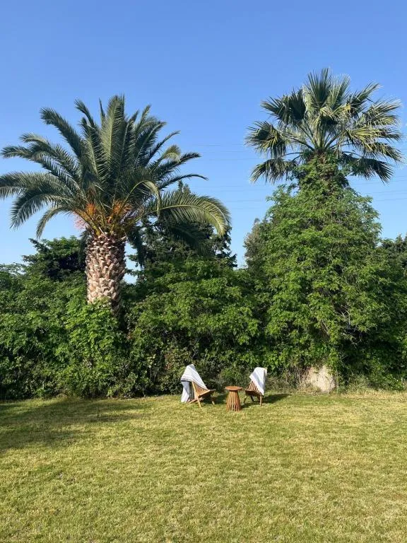 Spor & Eğlence