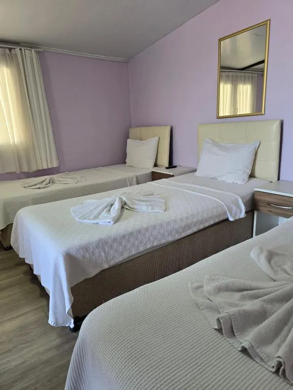 Standart Oda,Bahçe veya Sokak Manzaralı,2. Kat