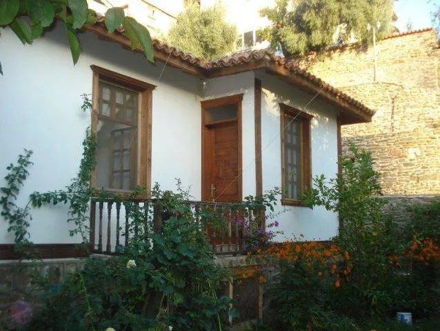 Genel Görünüm