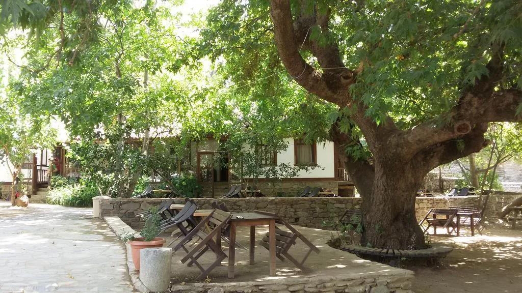 Genel Görünüm