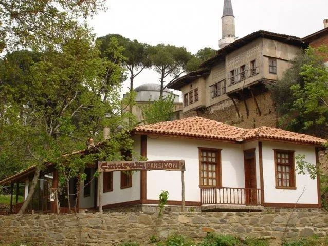 Genel Görünüm