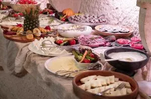 Gamirasu Village House