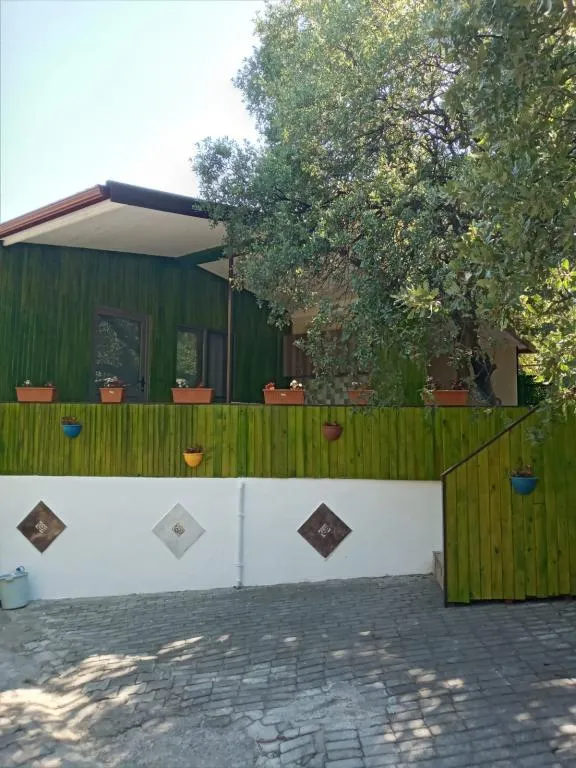 1+1 Deluxe Bungalov 
