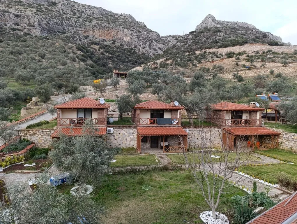 Genel Görünüm