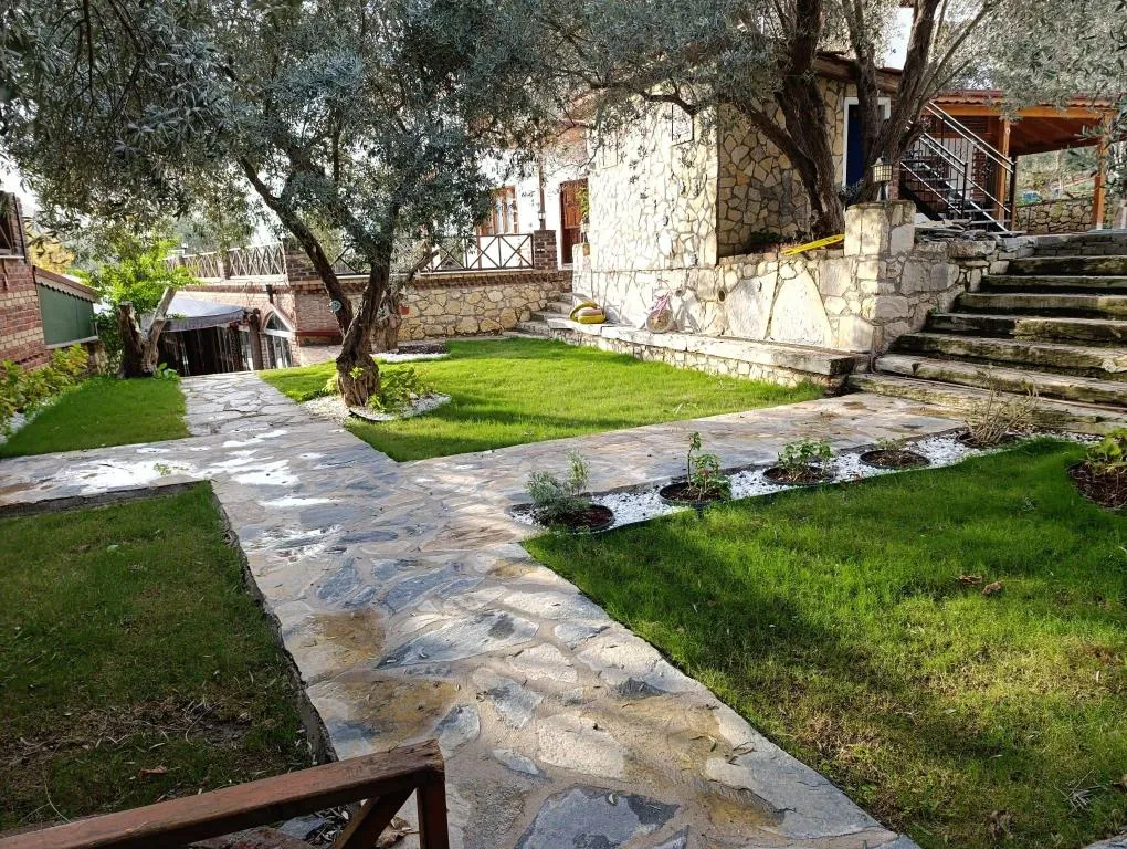 Genel Görünüm
