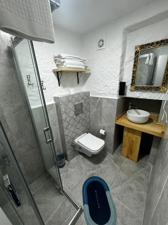 Deluxe Oda,Bahçe veya Sokak Manzaralı,1. Kat