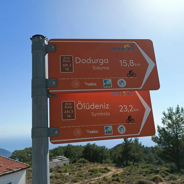 Diğer