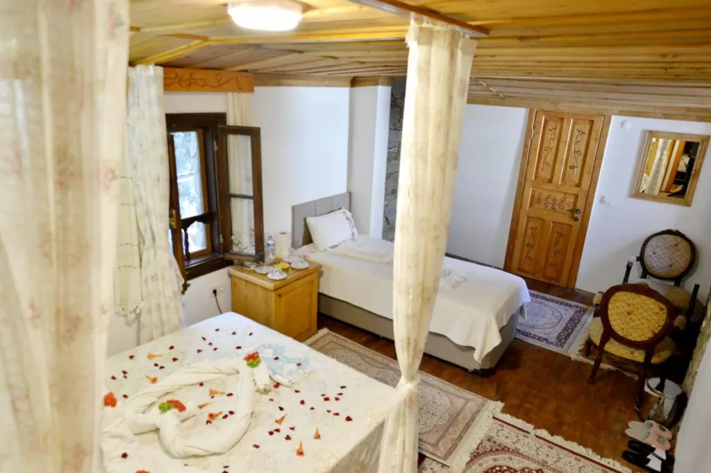 Standart Oda,Dağ Manzaralı