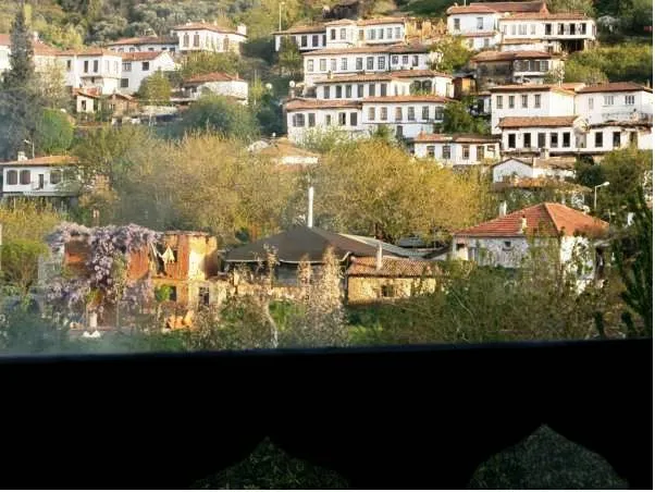 Genel Görünüm