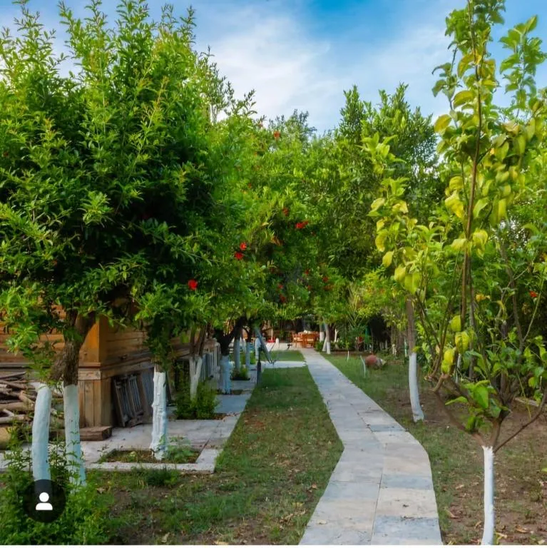 Bungalow 3 Kişilik Oda,Bahçe Manzaralı,Aileye Özel