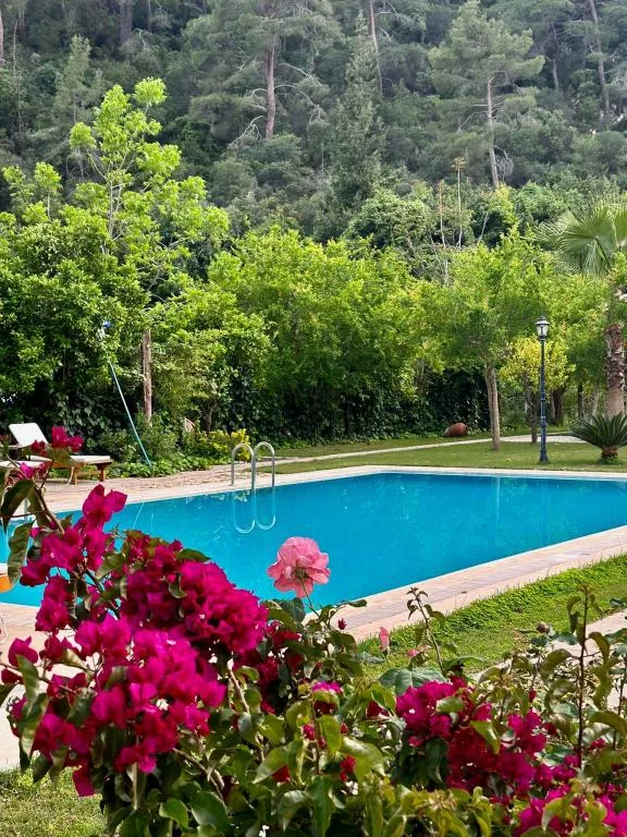 Bungalow 3 Kişilik Oda,Bahçe Manzaralı,Aileye Özel