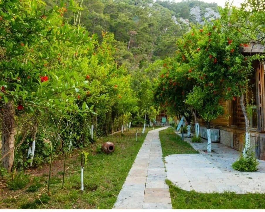Bungalow 3 Kişilik Oda,Bahçe Manzaralı,Aileye Özel