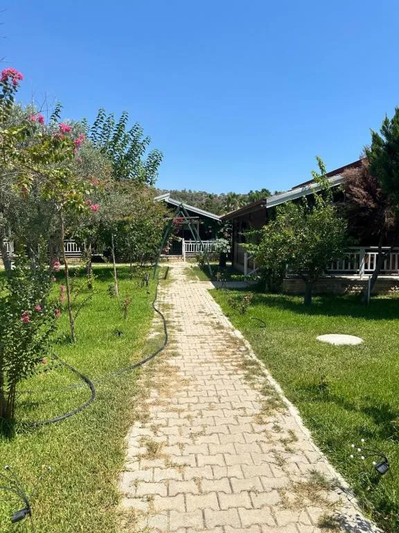 Genel Görünüm