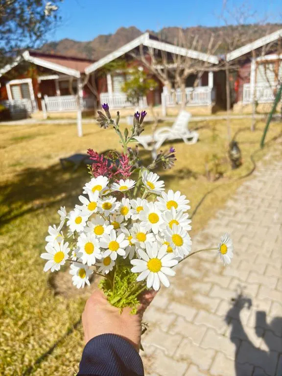 Genel Görünüm