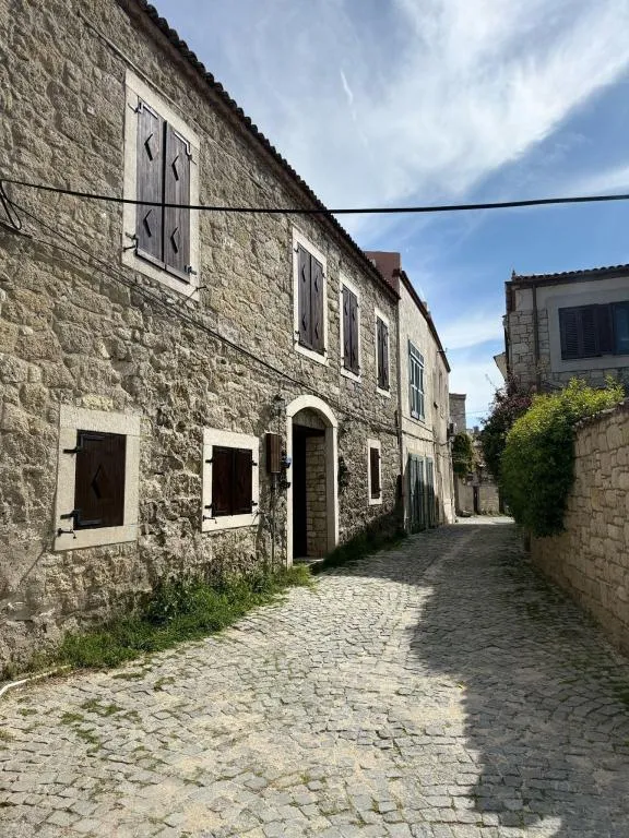 Standart Oda,Bahçe veya Sokak Manzaralı,Bahçe Katı