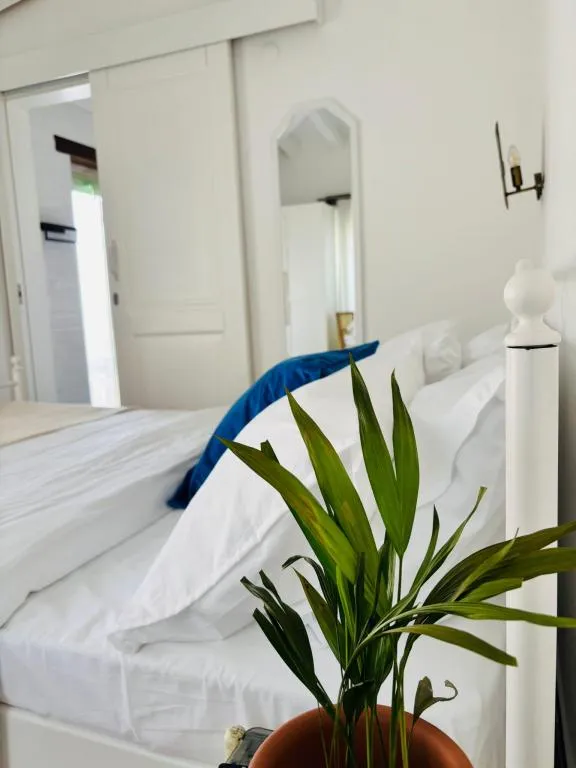 Deluxe Oda,Bahçe veya Sokak Manzaralı,1. Kat