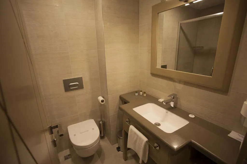 Standart Oda,Şehir Manzaralı