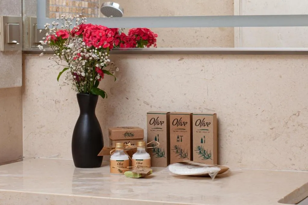 Deluxe Oda, Şehir Manzaralı, 