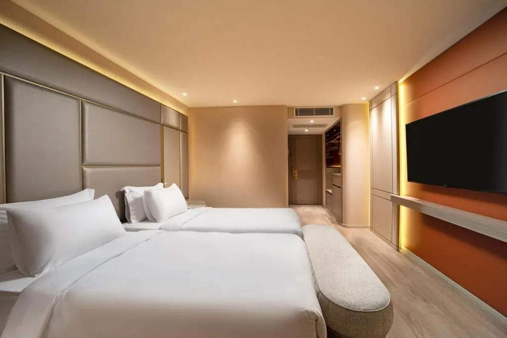 Deluxe Oda, Şehir Manzaralı, 