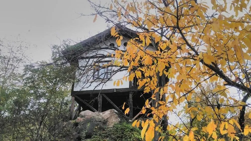 Hunting Mansion