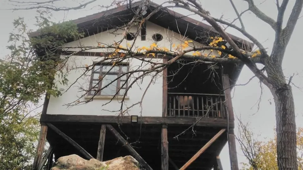 Hunting Mansion