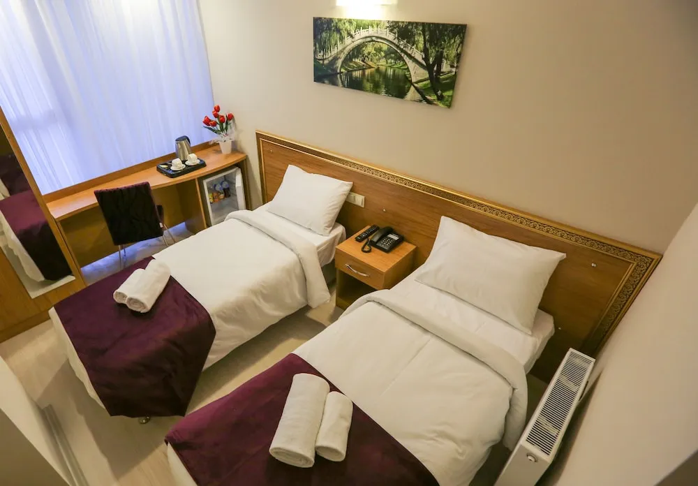 Deluxe İki Ayrı Yataklı Oda, 1 Yatak Odası, Sigara İçilmez, Şehir Manzaralı