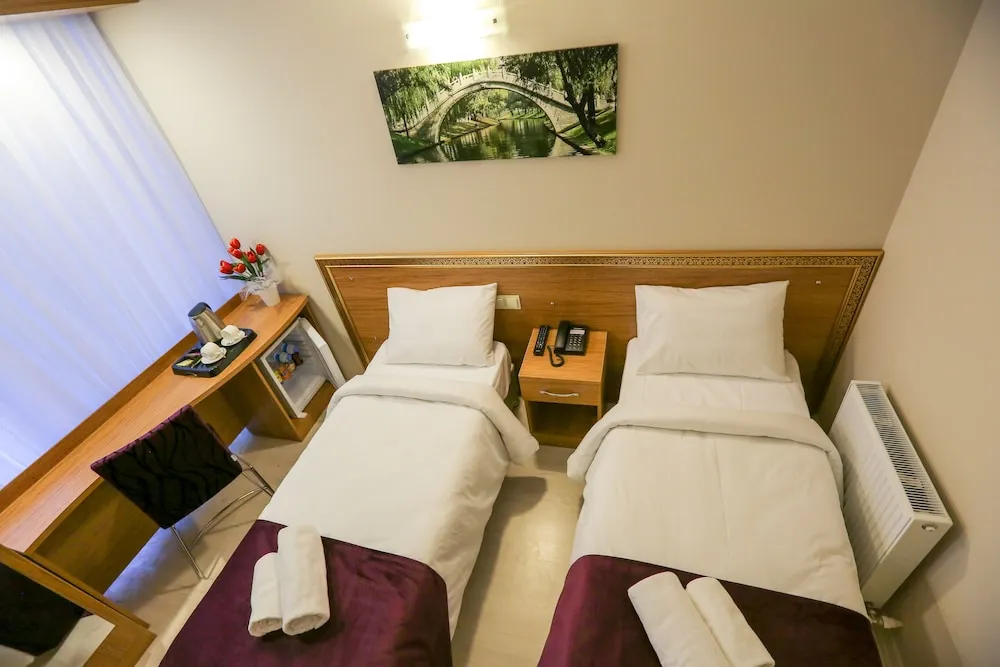 Deluxe İki Ayrı Yataklı Oda, 1 Yatak Odası, Sigara İçilmez, Şehir Manzaralı