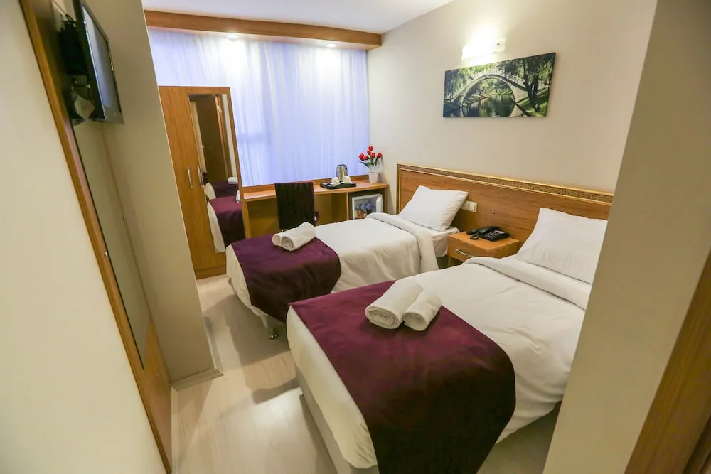 Deluxe İki Ayrı Yataklı Oda, 1 Yatak Odası, Sigara İçilmez, Şehir Manzaralı
