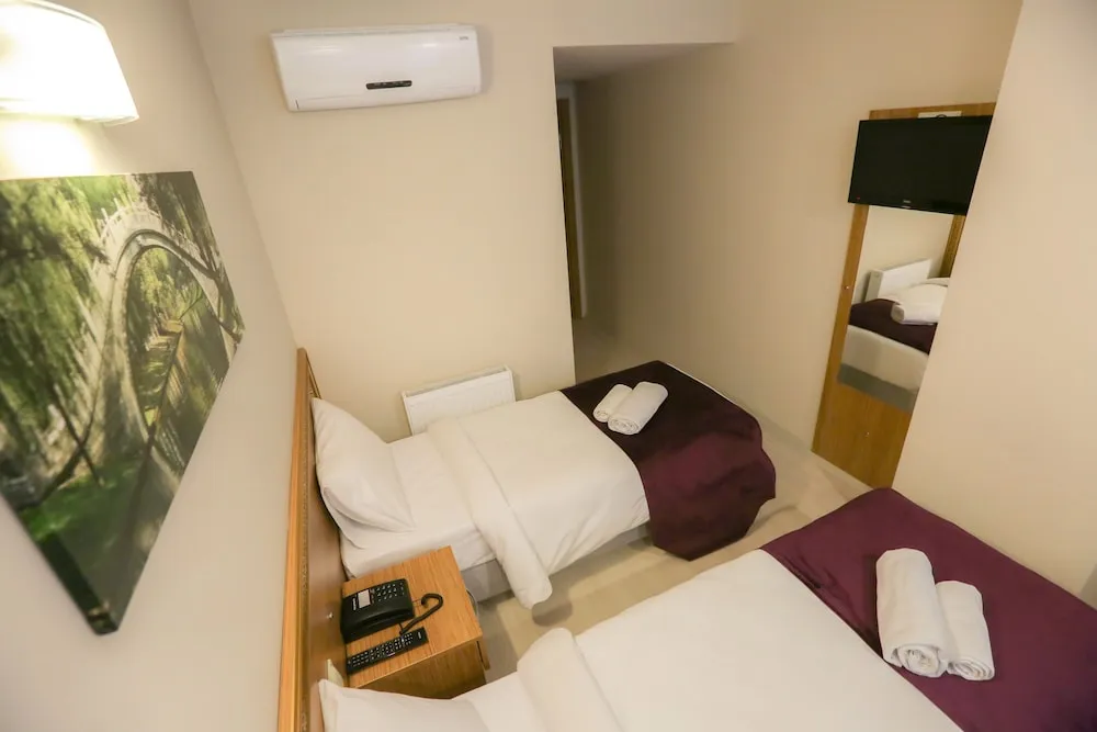 Deluxe İki Ayrı Yataklı Oda, 1 Yatak Odası, Sigara İçilmez, Şehir Manzaralı