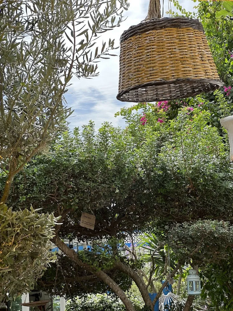 Cift Kisilik Oda - Cumbali ve Fransiz Balkonlu