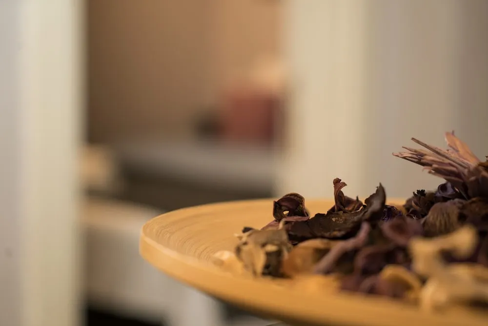 Luxury Studio with Turkish Bath